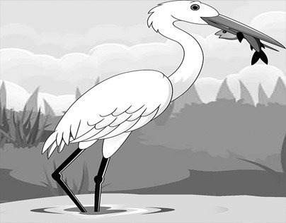 garza blanca